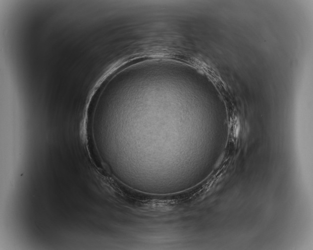 X0000100310292200806051502