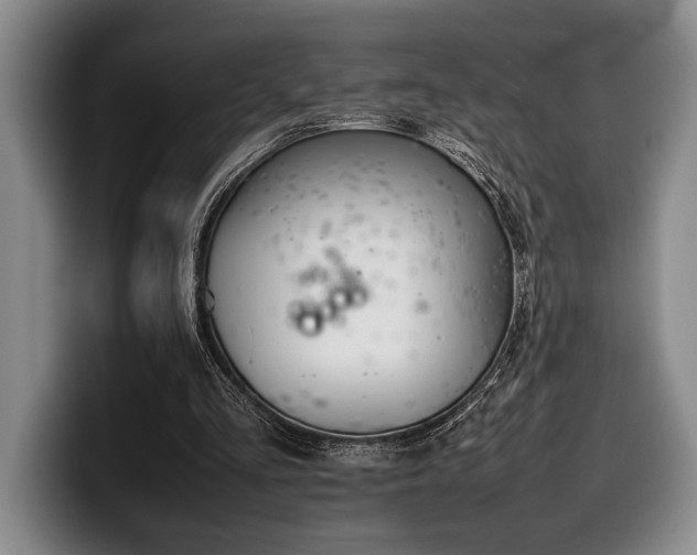 X0000100310293200806051502
