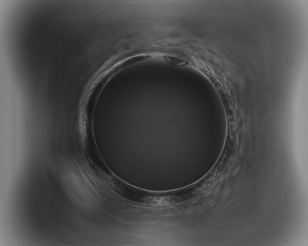 X0000100310295200806051502