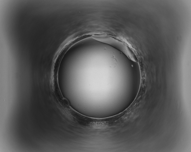 X0000100310296200806051502