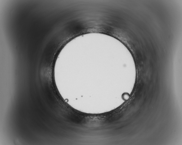 X0000100310297200806051502