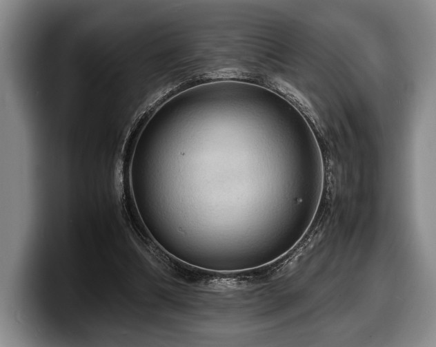 X0000100310298200806051502