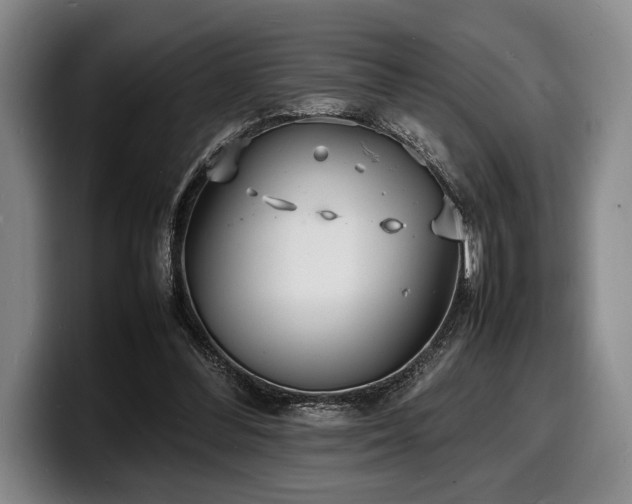 X0000100310300200806051502