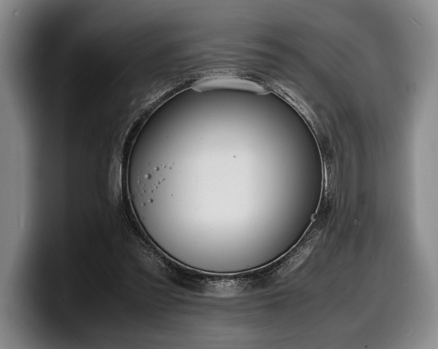 X0000100310301200806051502