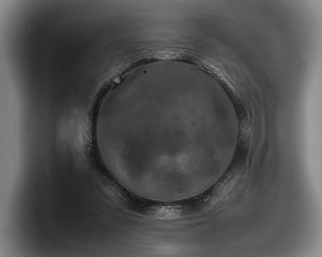 X0000100310303200806051502