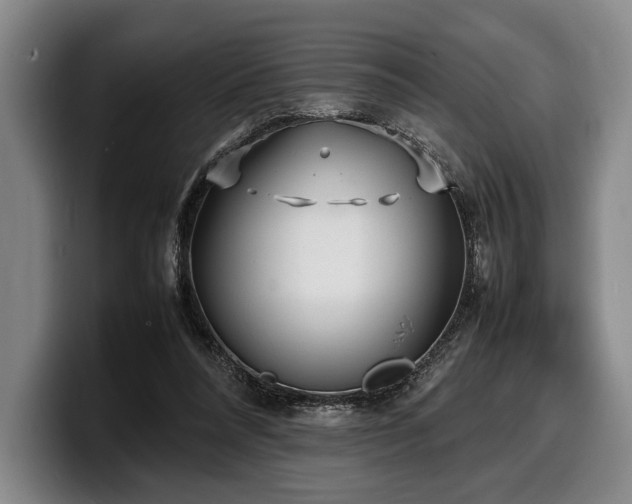 X0000100310304200806051501