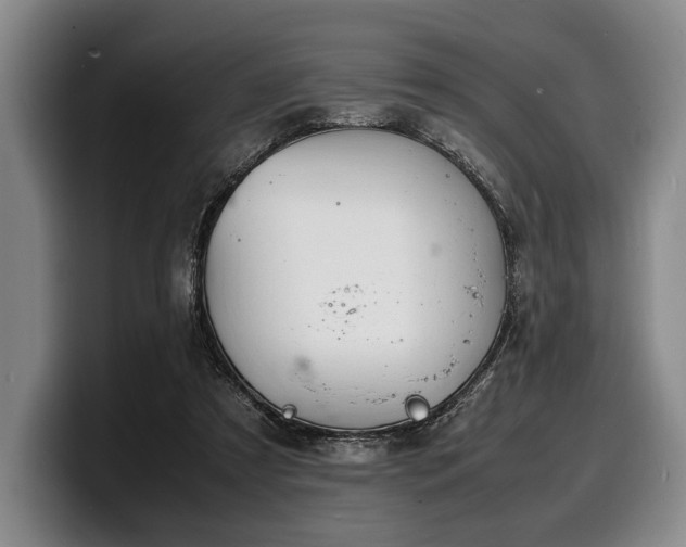 X0000100310305200806051501