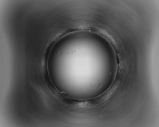 X0000100310306200806051501