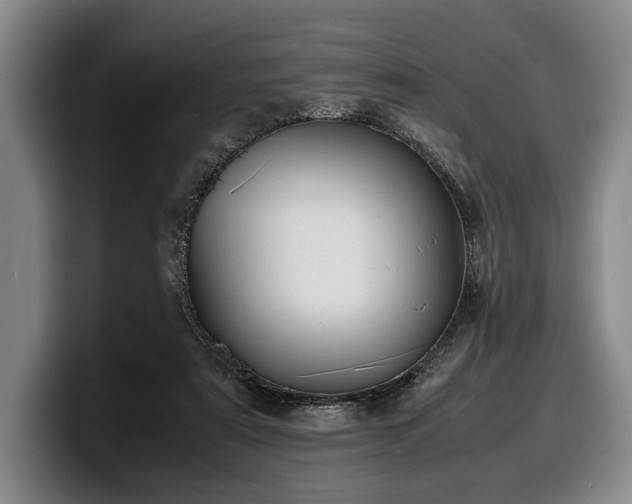 X0000100310307200806051501