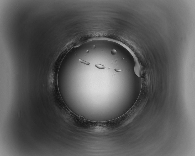 X0000100310308200806051501