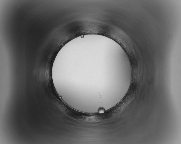 X0000100310309200806051501