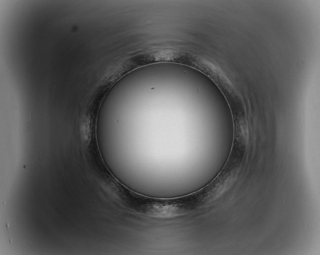 X0000100310311200806051501