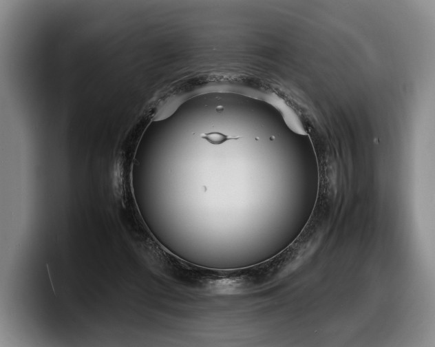 X0000100310312200806051501