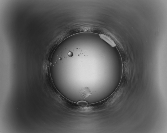 X0000100310313200806051501