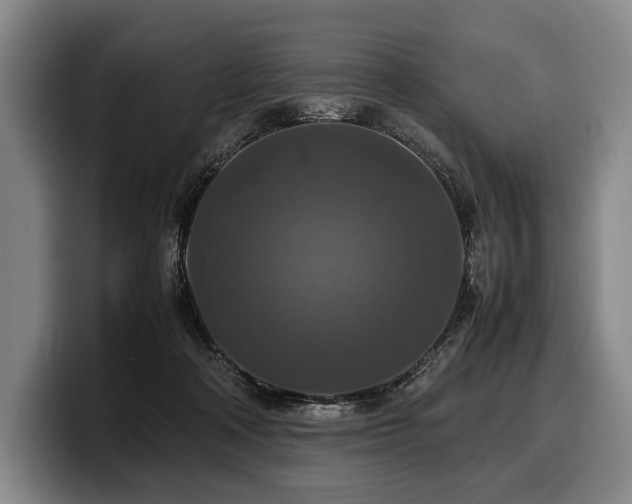 X0000100310314200806051501