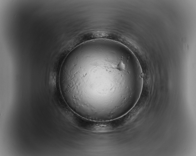 X0000100310315200806051501