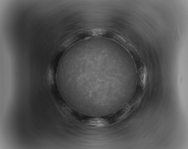 X0000100310316200806051501