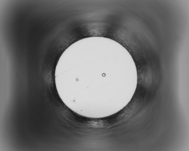 X0000100310317200806051501