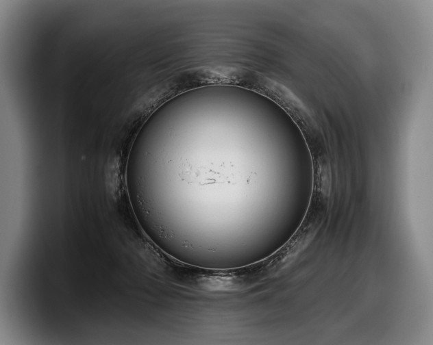 X0000100310318200806051501