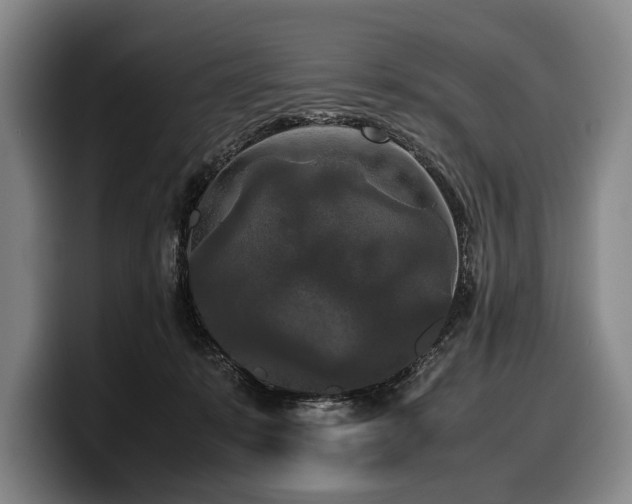 X0000100310319200806051501