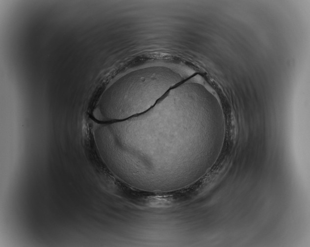 X0000100310320200806051501