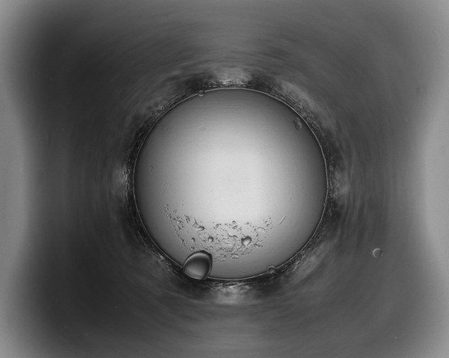X0000100310321200806051501