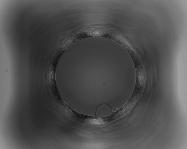 X0000100310322200806051501