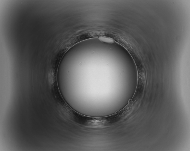 X0000100310323200806051501