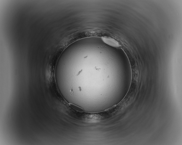 X0000100310324200806051501