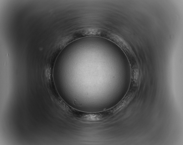 X0000100310326200806051501