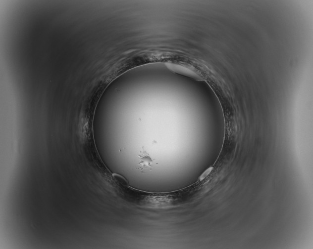 X0000100310327200806051501