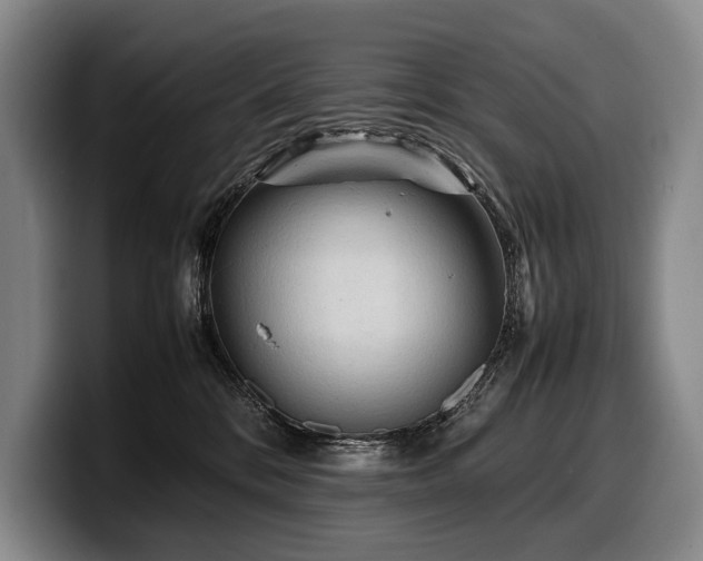 X0000100310328200806051501