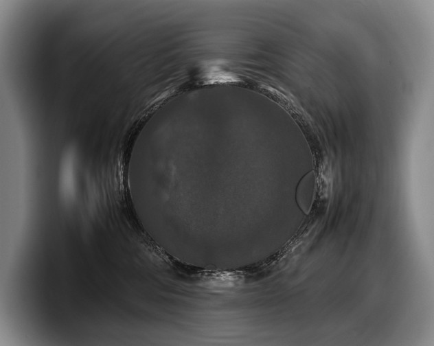 X0000100310330200806051501