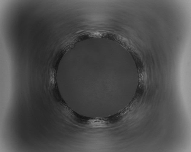 X0000100310331200806051501