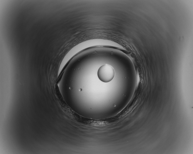 X0000100310332200806051501