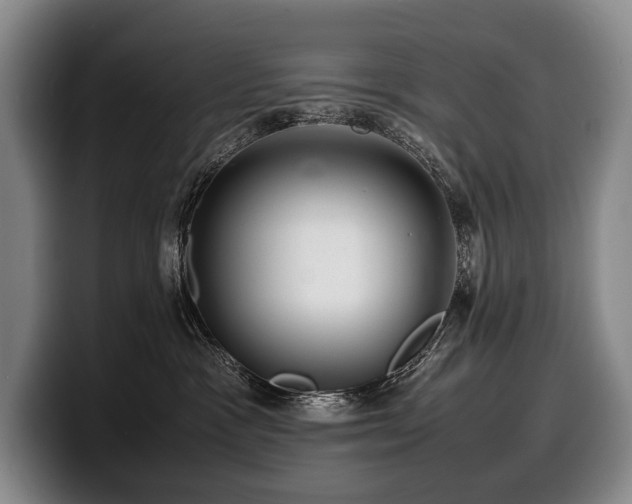 X0000100310333200806051501