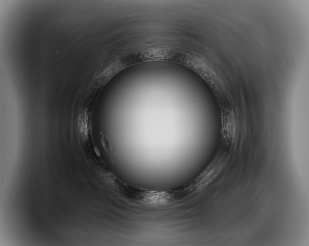 X0000100310334200806051501