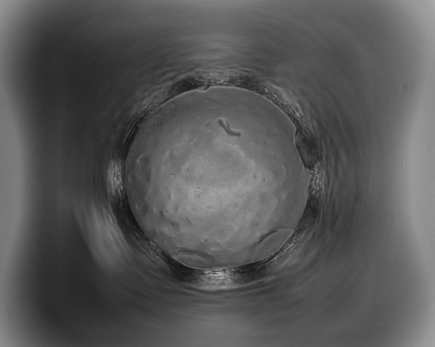 X0000100310335200806051501