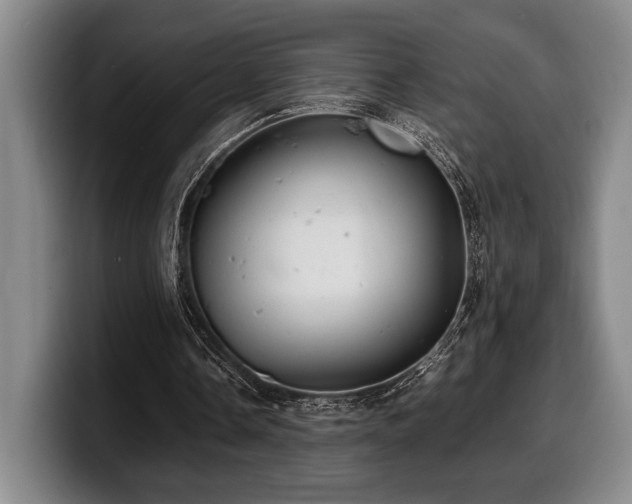 X0000100310338200806051500