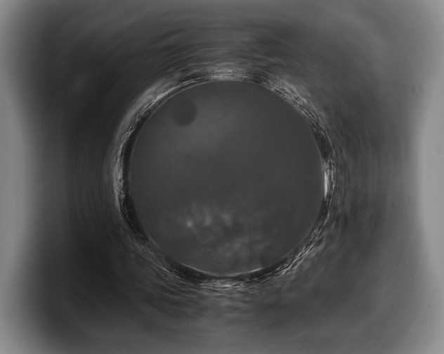 X0000100310339200806051500