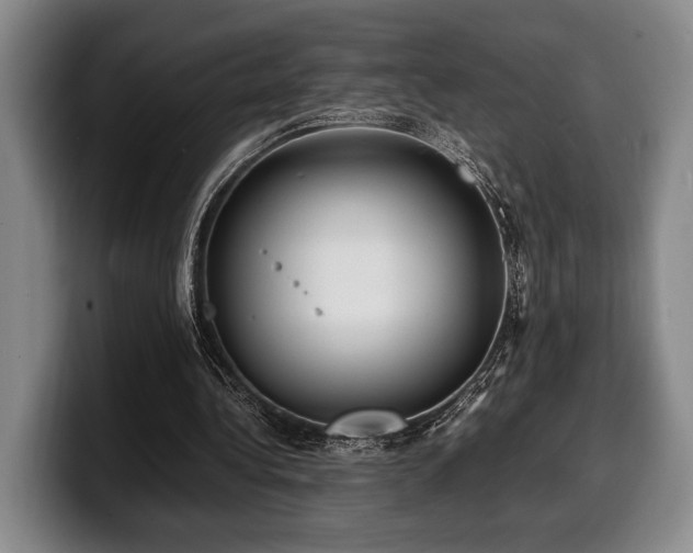 X0000100310340200806051500
