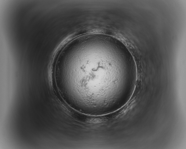 X0000100310341200806051500