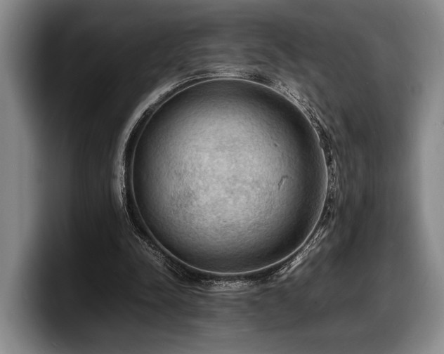 X0000100310342200806051501