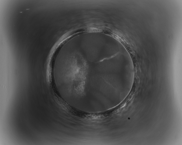 X0000100310343200806051501