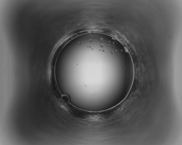 X0000100310344200806051501