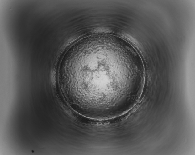 X0000100310345200806051501