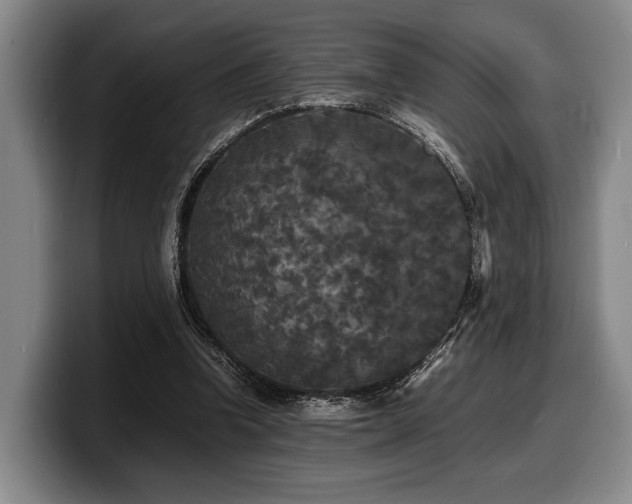 X0000100310346200806051501