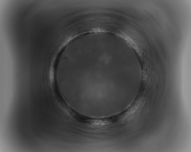 X0000100310347200806051501