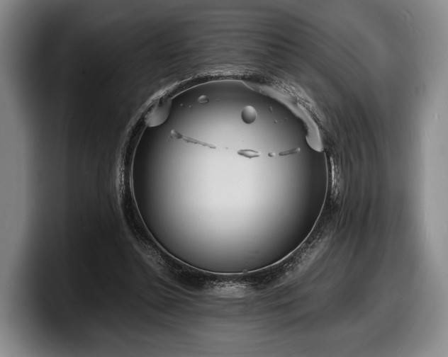X0000100310348200806051501