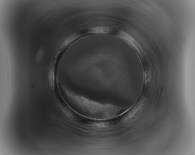 X0000100310349200806051501